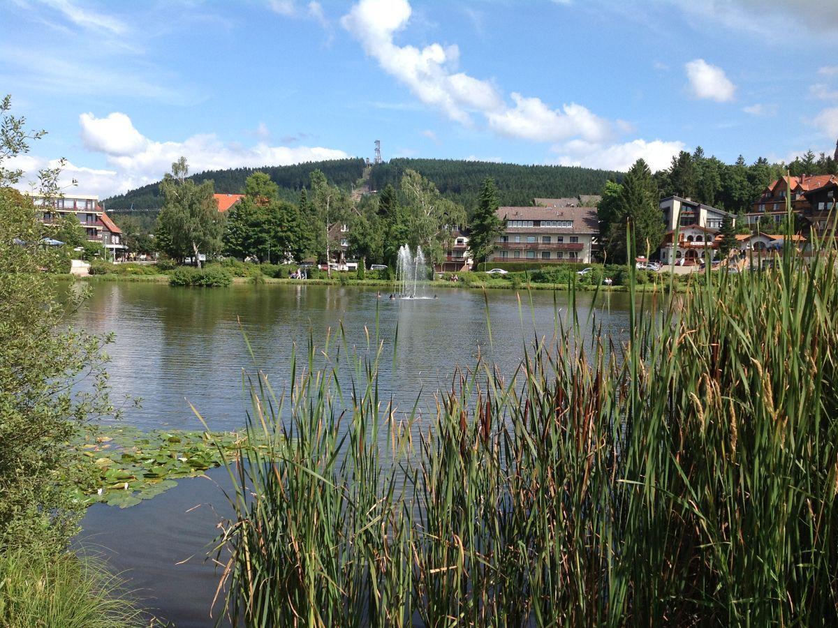 Bocksbergblick Fewo Auszeit Goslar Eksteriør bilde